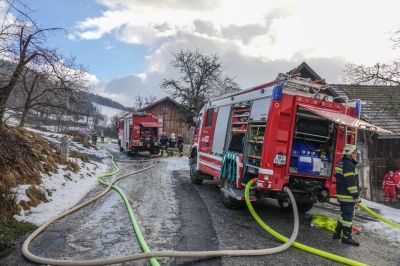 14012019 B4 Petersbaumgarten (13)